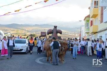 Alegre y participativa romería en El Ejido (Foto FJ Santana y TF)
